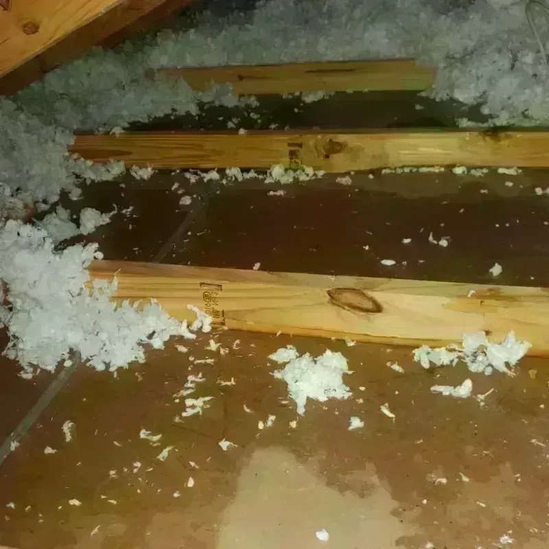 Attic Water Damage in Pennsboro, WV